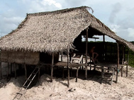 On an island two erotopathic couples fuck in an novice beach house
